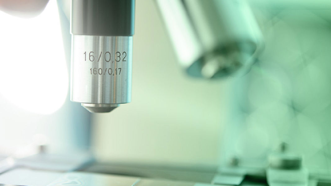 Immutep clinical trials deliver significant tumour shrinkage in late-stage cancer patients