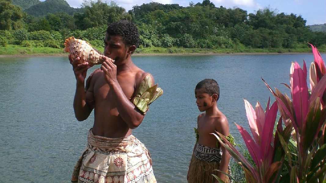 Fiji Kava set to alleviate New Zealand’s stress and anxiety