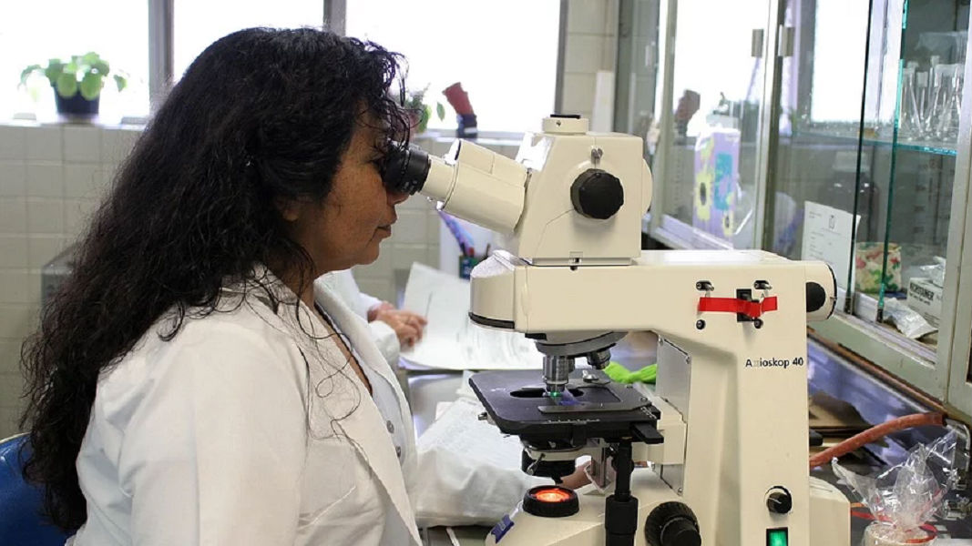 Holista files patent application for tech that makes CBD oil 40x more potent