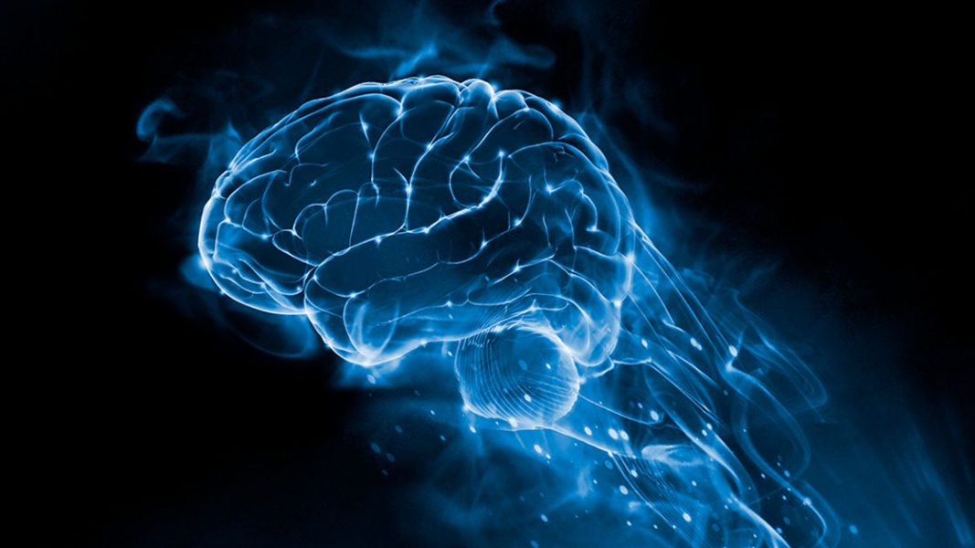 New Medibio MD kicks off 2020 with FDA Approval Roadmap