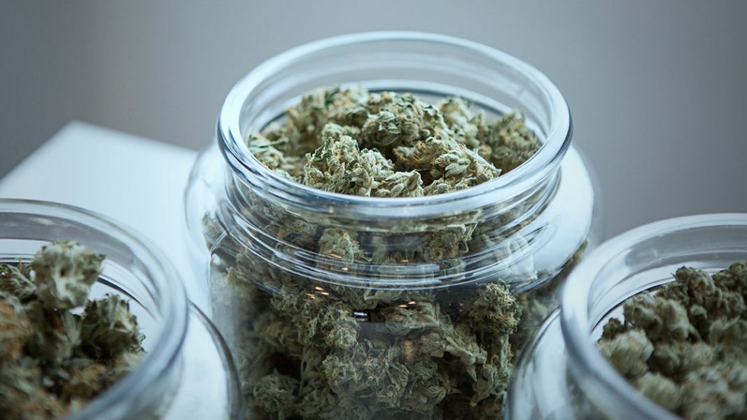 Little Green Pharma to supply medicinal cannabis to underserviced German market