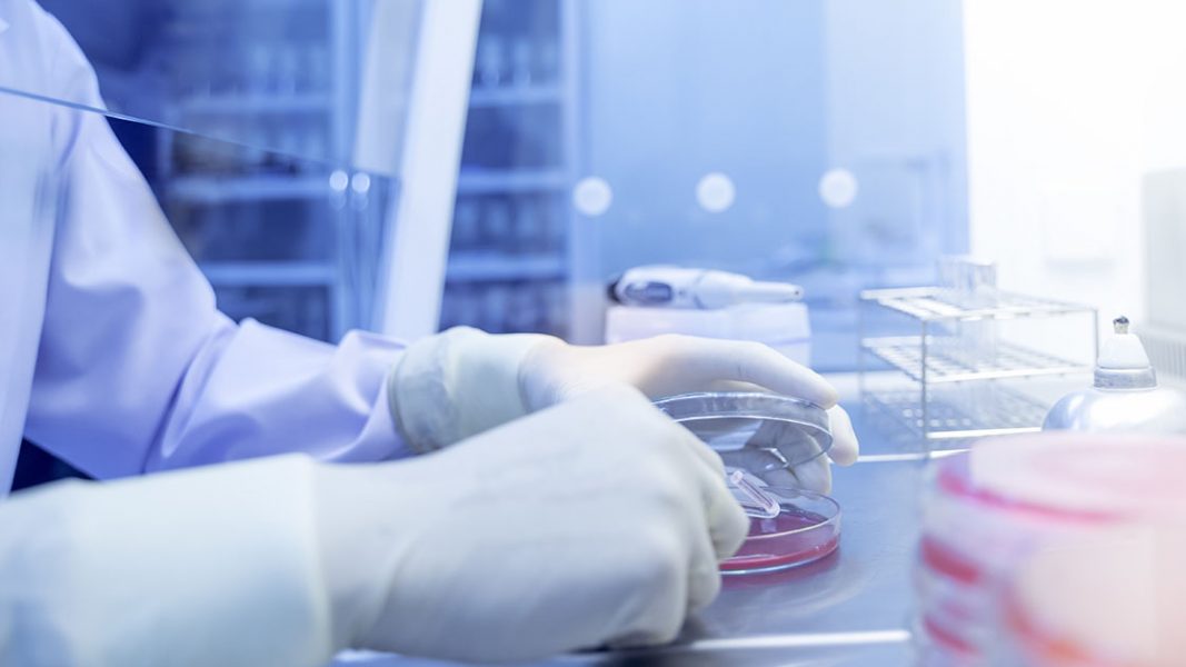Botanix up 91% after FDA grants QIPD status to advance antimicrobial products