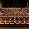 BGH Capital back with another takeover bid for Village Roadshow