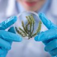 Eco-toxicity findings confirm Bio-Gene pesticide safe for aquatic life