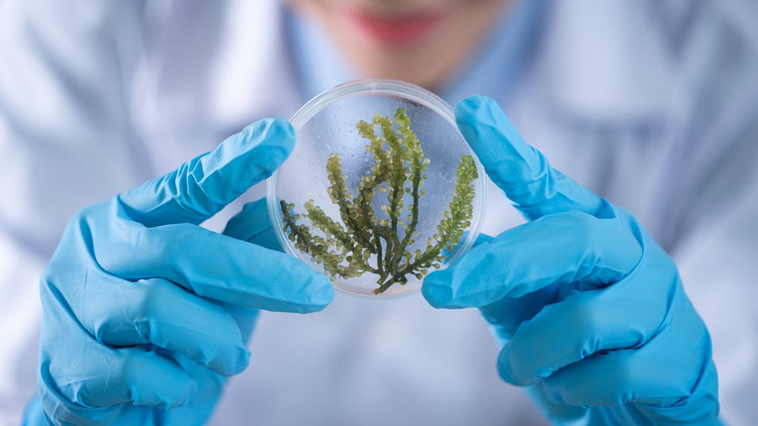 Eco-toxicity findings confirm Bio-Gene pesticide safe for aquatic life