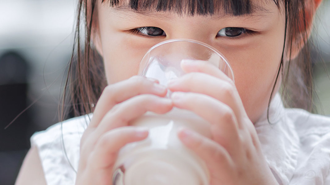 Record milk powder orders for Keytone Dairy with new NZ facility