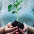 SECOS selected by Woolworths as compostable bag supplier