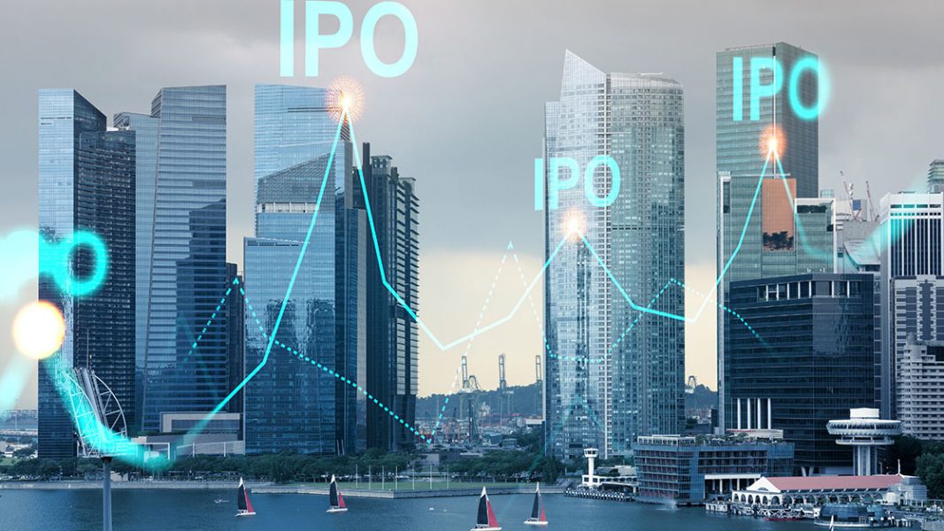 The New Criterion: the IPOs forging ahead in the coronavirus era