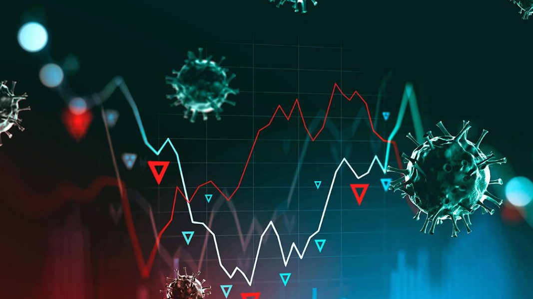 The New Criterion: the overlooked small cap champions defying the coronavirus gloom
