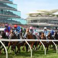 2020 Melbourne Cup: Runner-by-Runner Preview, Analysis and Tips