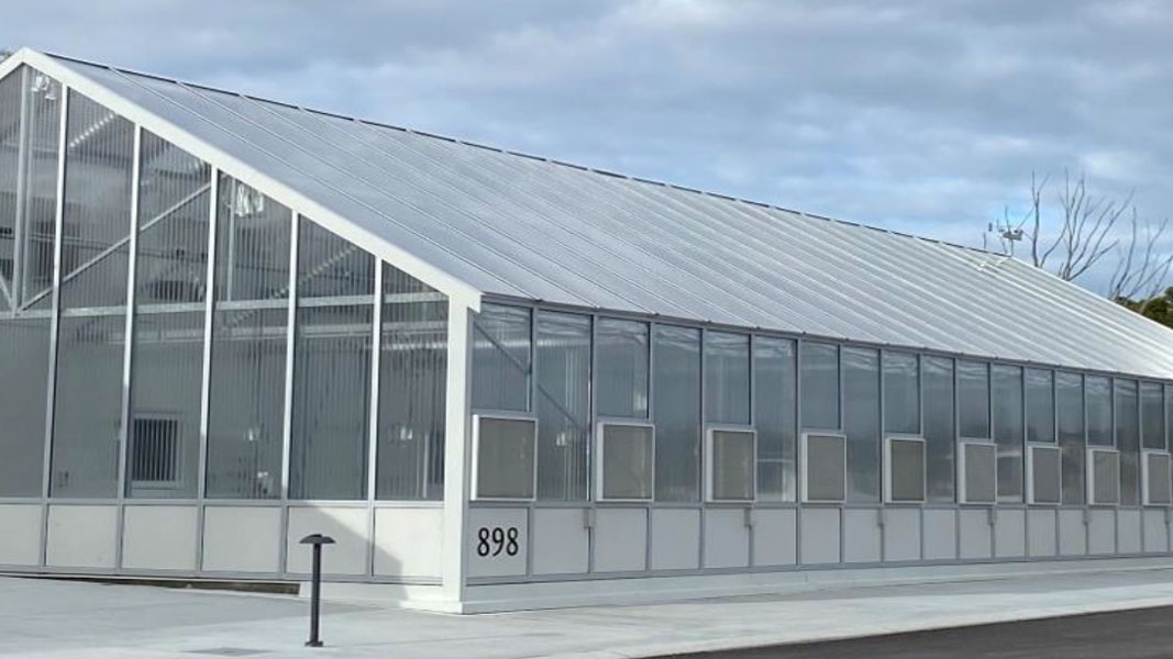 Wine with a view, ClearVue engaged for Sustainable Greenhouse at Mt Fuji