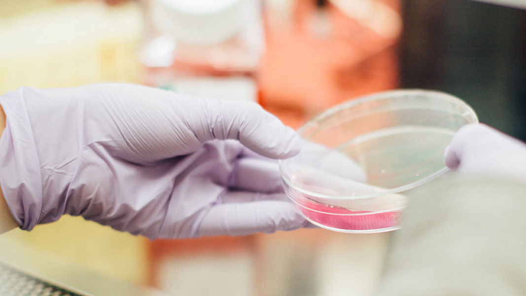 LBT Innovations sets sights on US healthcare market with AI-powered pathology