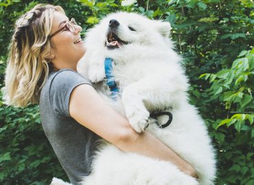Where to find pet care stocks amid a paw-city of choice
