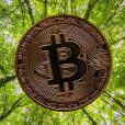DC Two launches new vertical offering eco-friendly Bitcoin mining data centres