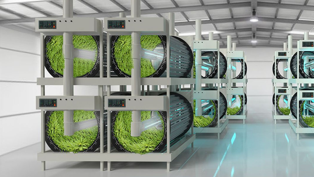 Green with envy: RotoGro rolls up purchase order for medicinal cannabis facility