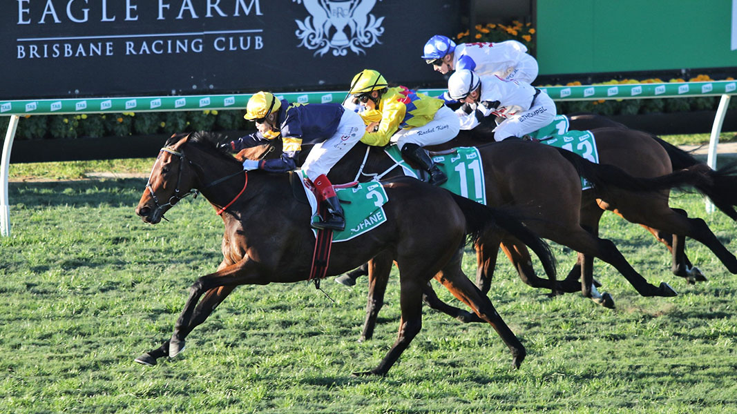 Racing shines amid snap lockdowns as Apiam capitalises on booming veterinary market