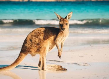 Travel and tourism shares to buy ahead of The Great Reopening