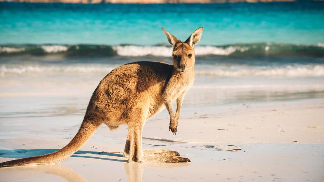 Travel and tourism shares to buy ahead of The Great Reopening