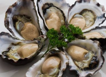 Angel Seafood resumes oyster harvesting after Coffin Bay gastro outbreak