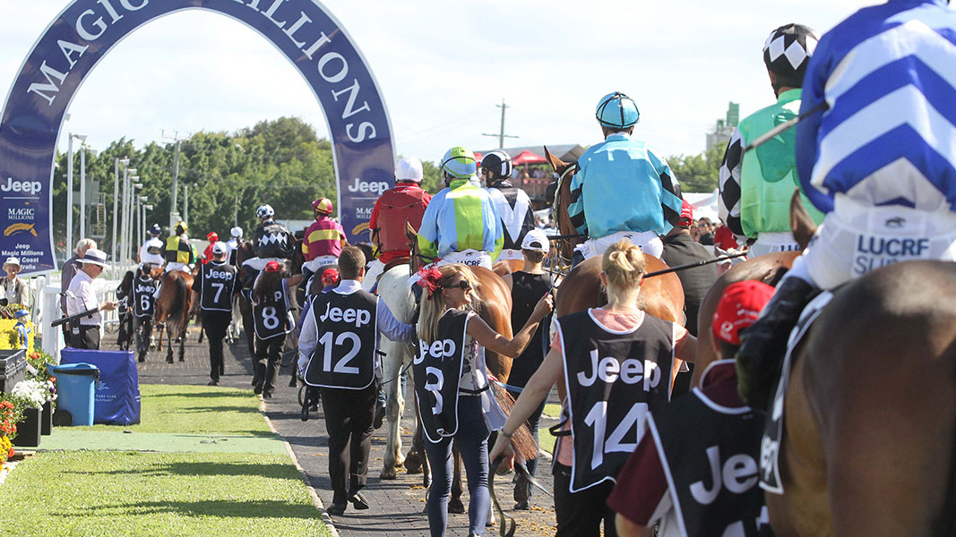 Yearling sales up 28% as Aussie investment surges following Apiam’s equine expansion