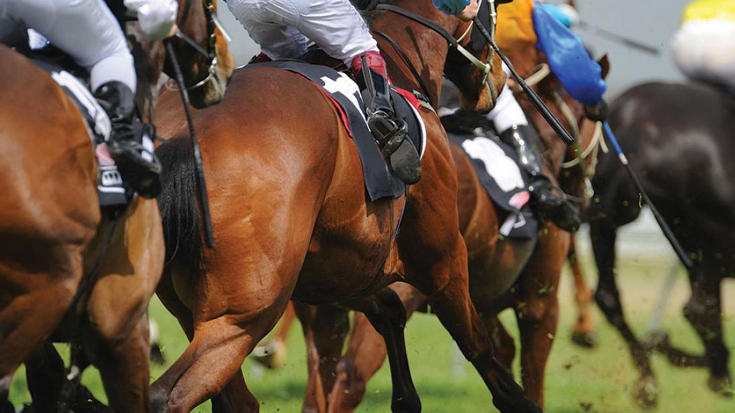 Vets a key part of the solution in restoring the racing industry’s image