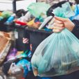 Bagging the past, SECOS are moving forward with biodegradables