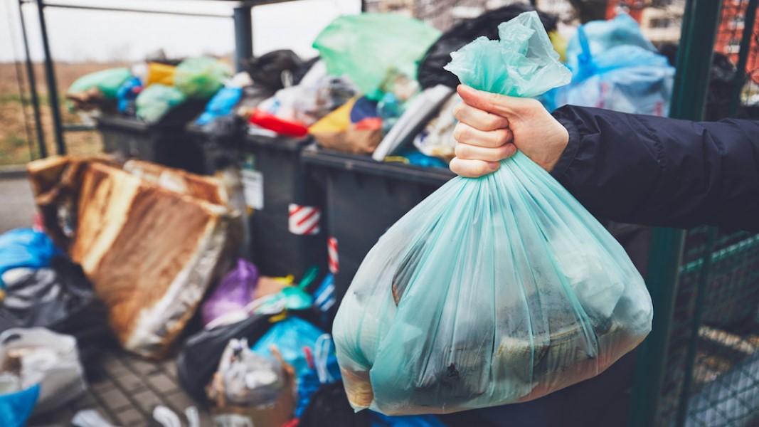 Bagging the past, SECOS are moving forward with biodegradables