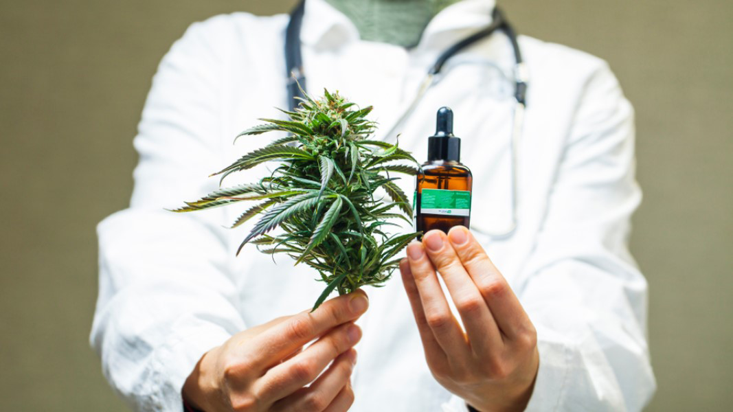 Blazing clinical trials prove successful to launch new cannabis product