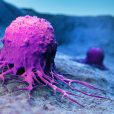 The Cancer Index: Why investing in oncology biotechs is more science than art
