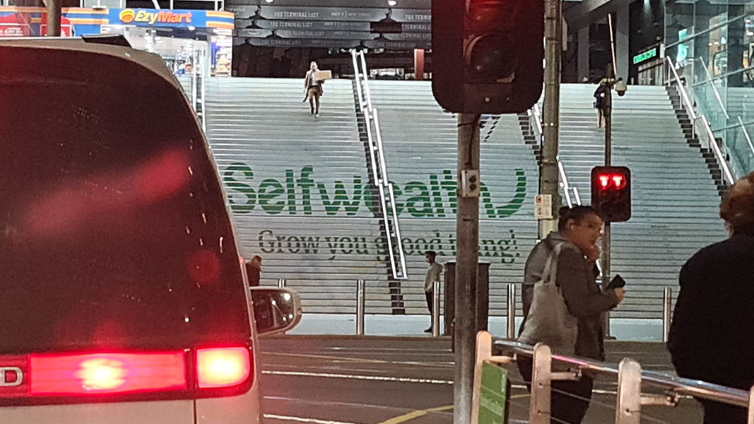 Selfwealth cashes in on rising interest rates as investors leave cash balances on platform