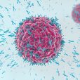Prescient Therapeutics sures supply of cell therapeutic in the hopes of commencing clinical trials