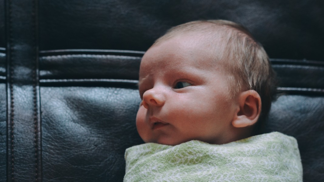 Clover sees revenue boost after tapping into the infant milk formula market
