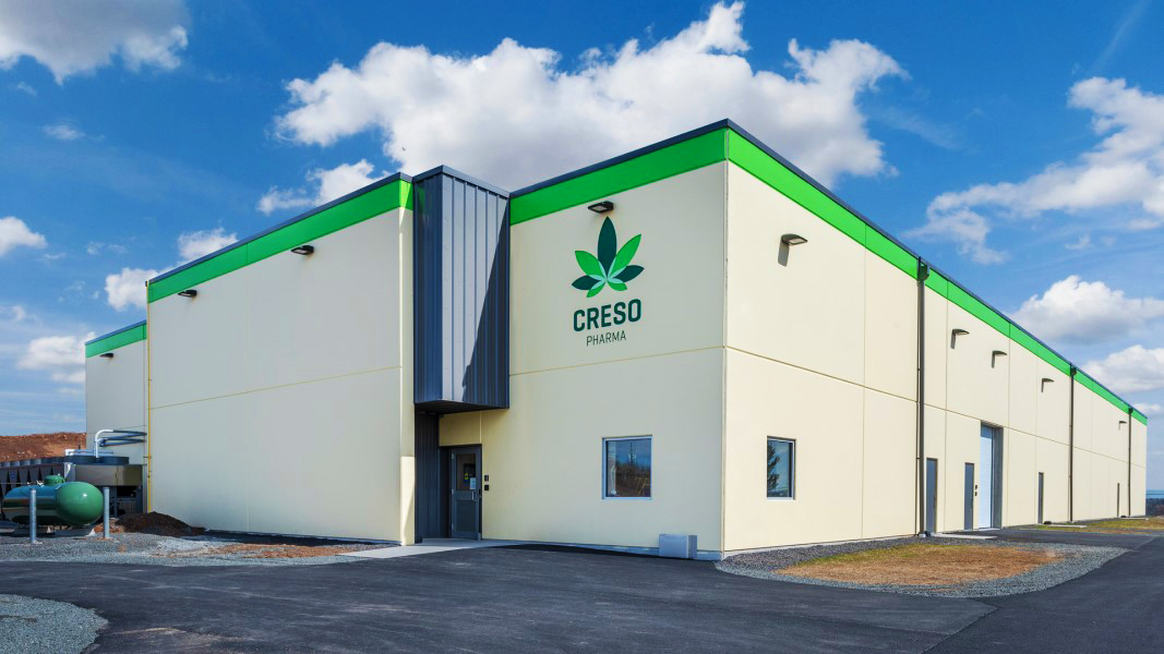Complete Creso Pharma business overhaul to dissociate from tainted history