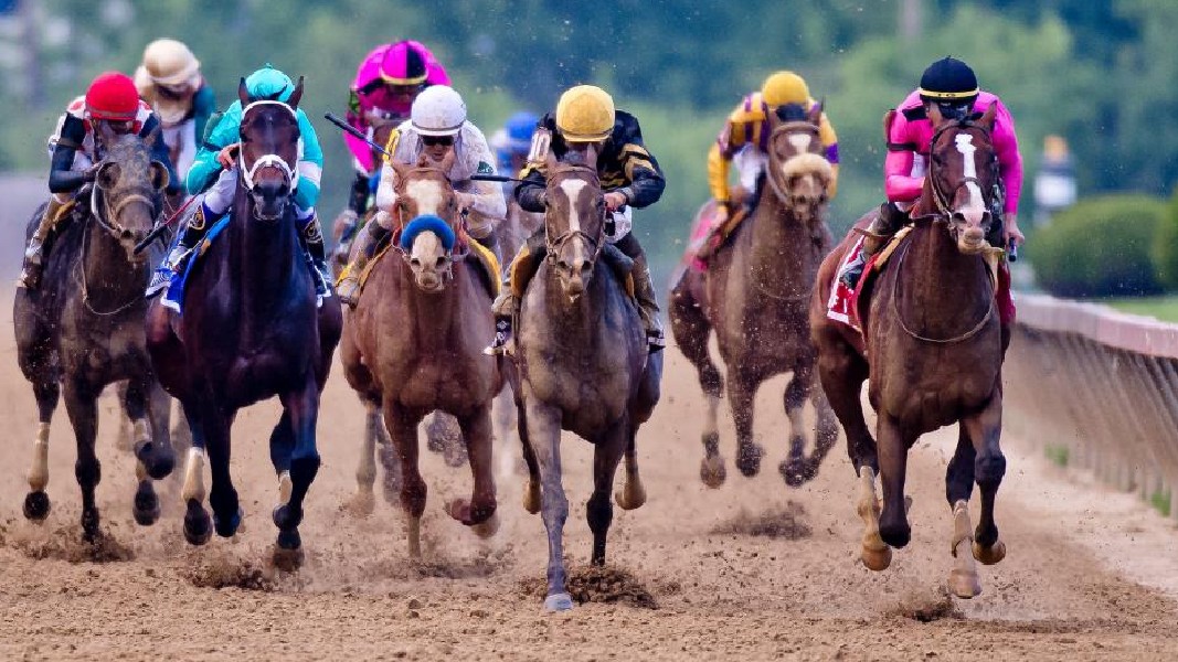 PointsBet enters five-year contract with 1/ST Technology to expand horse racing betting in the US