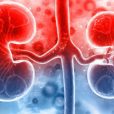 Cynata teams up with Leiden University Medical Center to test its stem cell solution on kidney transplant patients