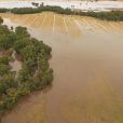 ECS affirms that the cannabis is safe amid severe flooding from Loddon River