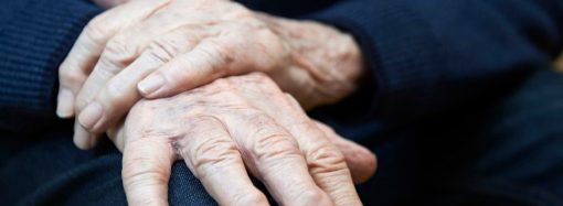 The Calmer Co reports monthly record of eCommerce kava sales thanks to Black Friday