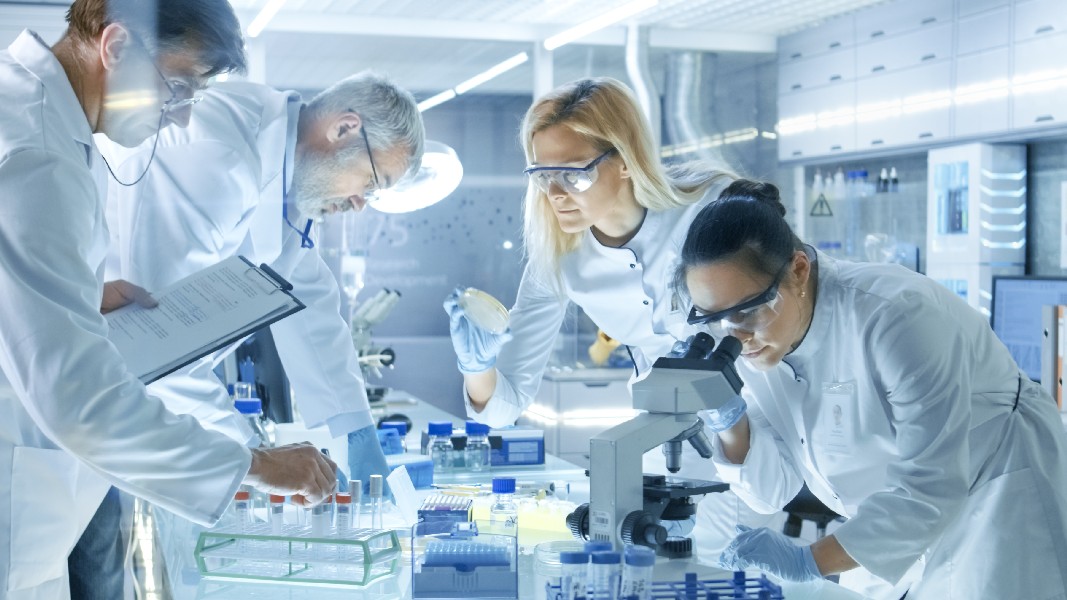 Pharmaxis cancer drug progress detailed at leading scientific conference, eyes FDA discussions in 2023