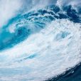 New Zealand Coastal Seafoods reveals sales growth in the face of shareholder pressure
