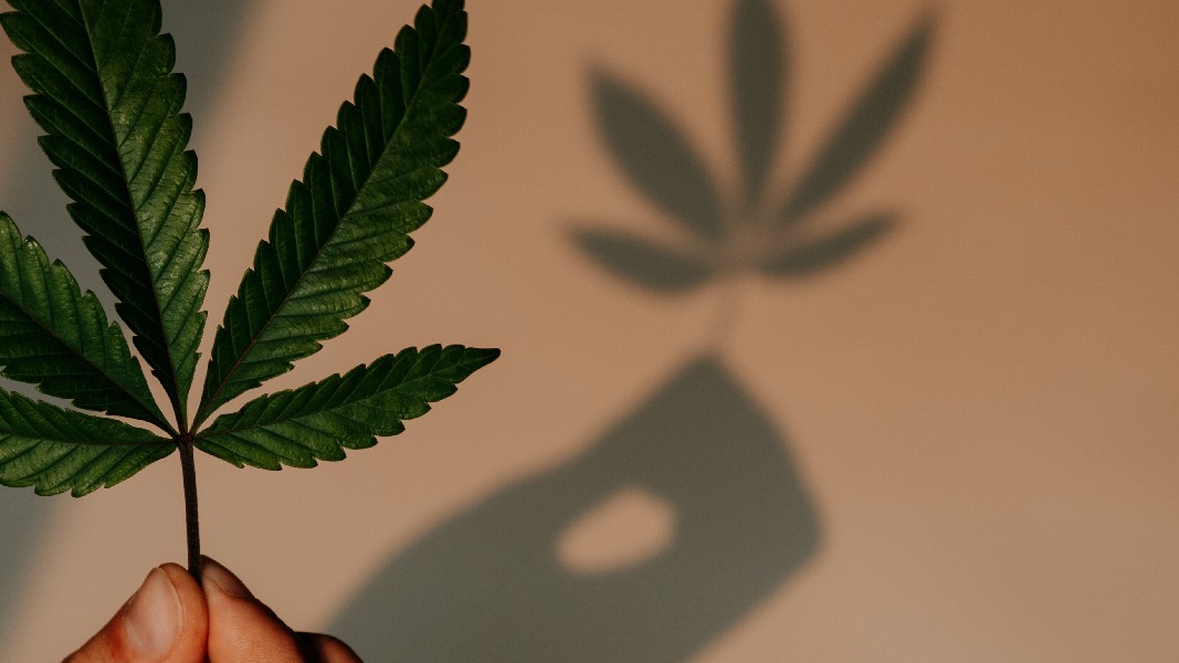 Bioxyne aspires to be high on profits with $37 million Breathe Life Sciences acquisition