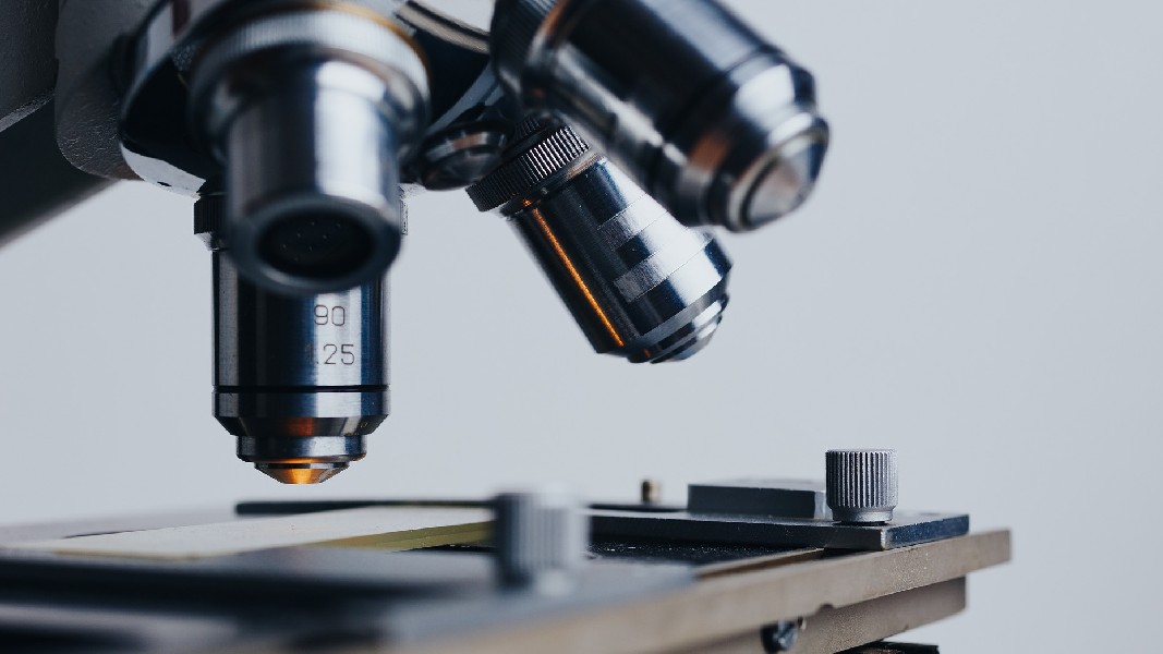 AdAlta secures second Japanese patent for its antibody candidate AD-214
