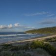 Ingenia and Surfing NSW renew partnership to support growing interest in surfing and coastal culture