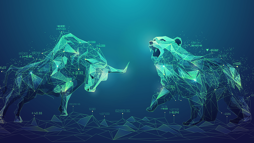 Bull markets and bear markets: Why are these significant for newbie investors?
