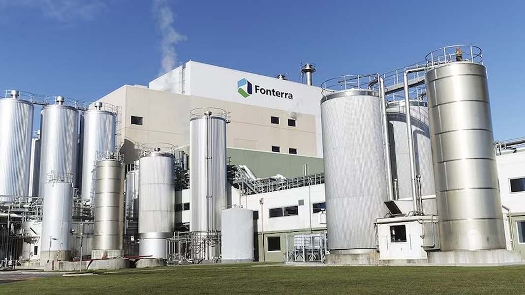 Halo brings on Modus for strategic review amid multi-million dollar Fonterra deal