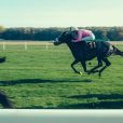 Ainsworth isn’t horsing around, projects $20 million profit in H1 CY23 with historical horse racing boom