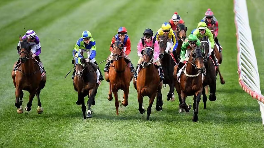 Betmakers Technology undergoes major changes amid economic challenges