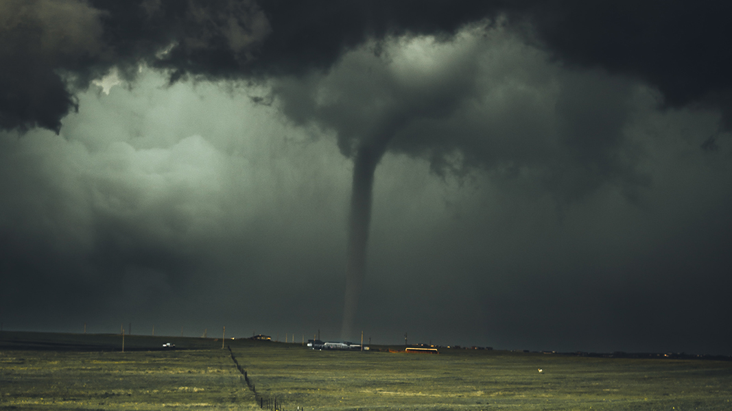 Avada credits stabilising weather conditions for earnings boost