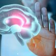 Chimeric’s cell therapy drug moves on to Phase 1B trial to treat malignant brain cancer