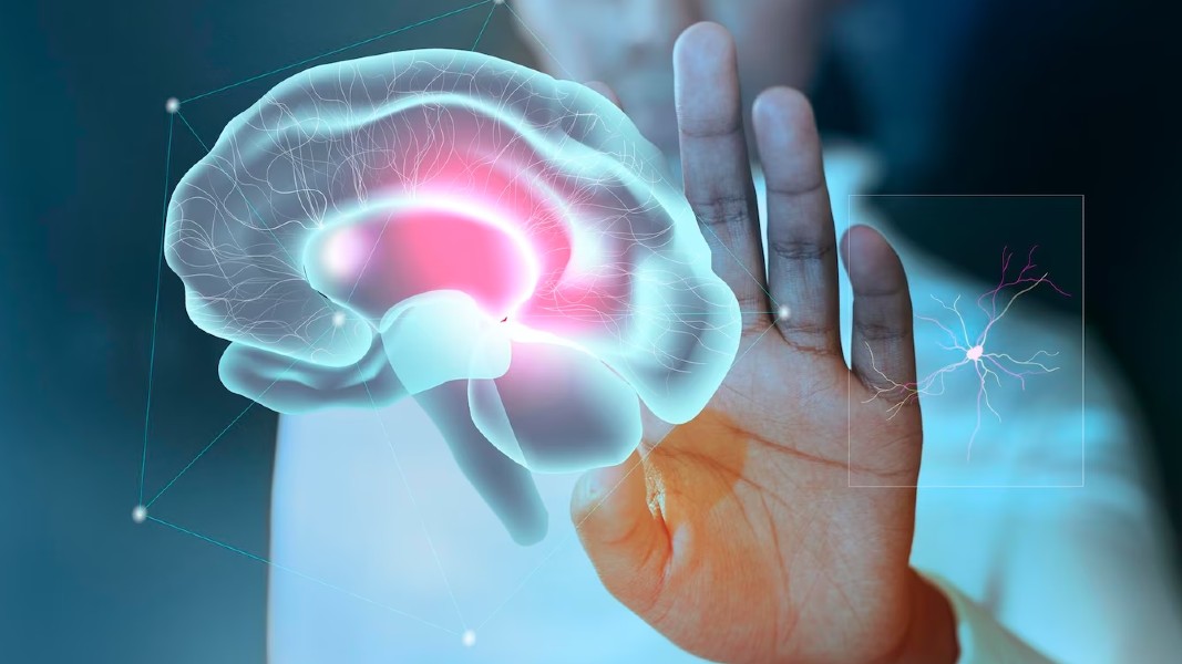 Chimeric’s cell therapy drug moves on to Phase 1B trial to treat malignant brain cancer