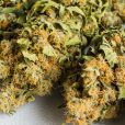 Cannabis lemonade and iced teas: Althea’s Peak teams up with Tweed to bring cannabis-infused products to Canada